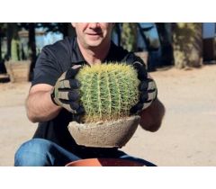 HexArmor ThornArmor 3092